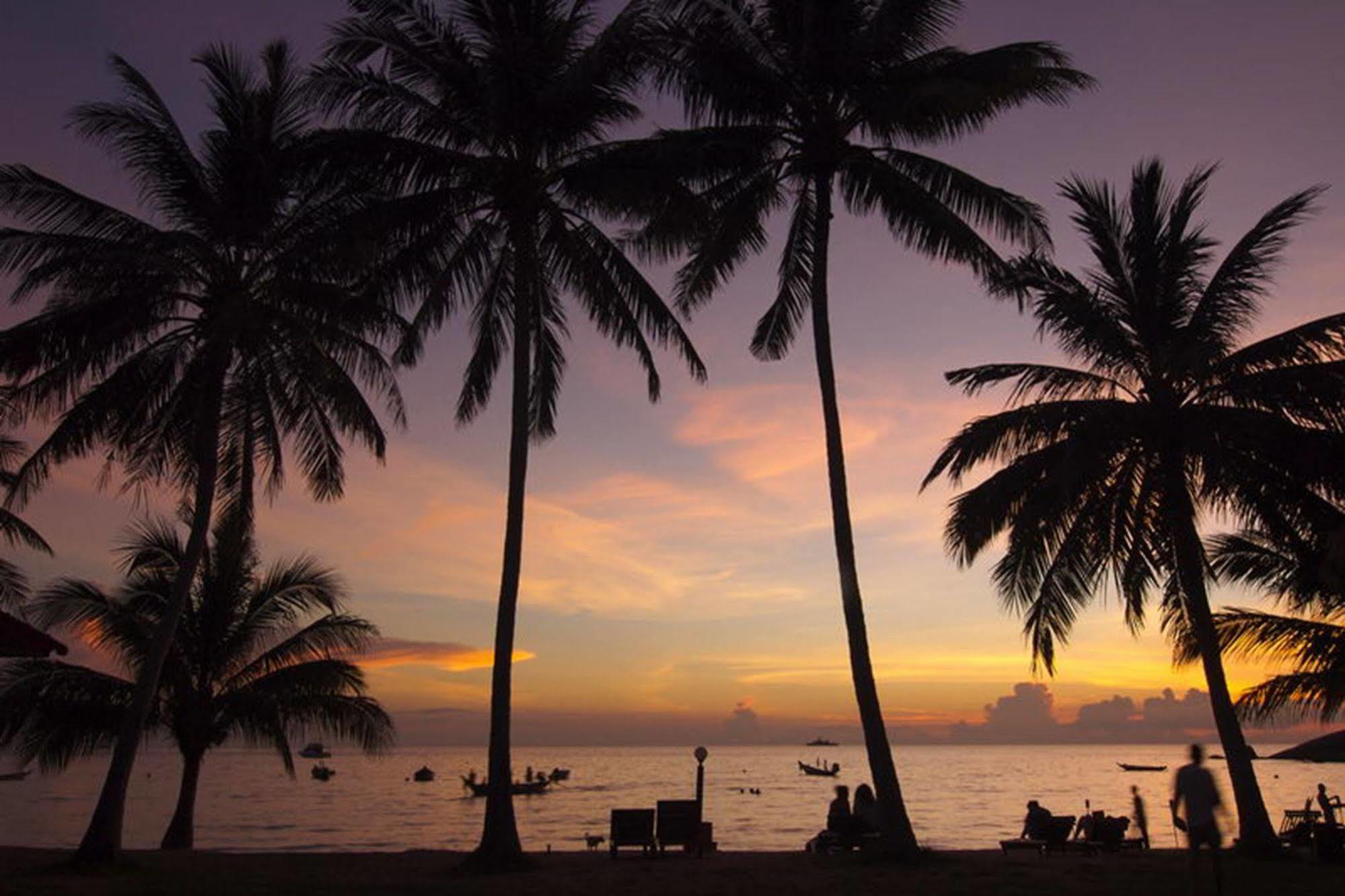 Palm Leaf Resort Koh Tao Ko Tao Exterior foto